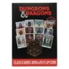 Cartes De Classes & Jeton D20 - Dungeons & Dragons