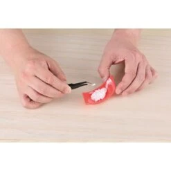 Maquette - Sushi Thon Rouge - Syuto Seiko -Gamespirit Magasin maquette sushi ver saumon 2